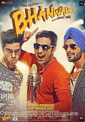 Bhanwarey 2017 Hindi Movie 480p DVDRip – [300MB] - Movierulz